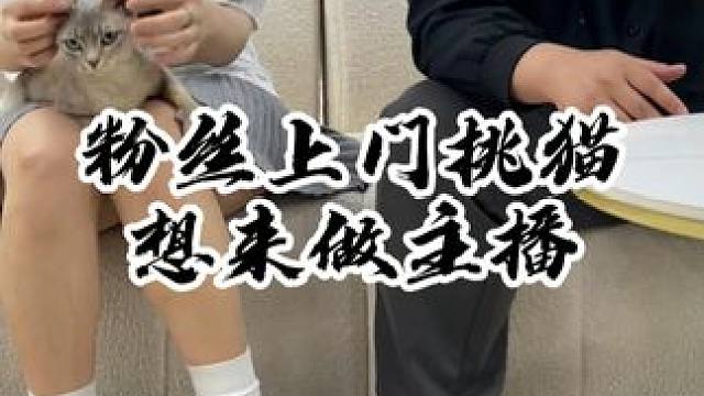 兄弟们 你们觉得她行吗？？#壮实说猫 #上门挑猫