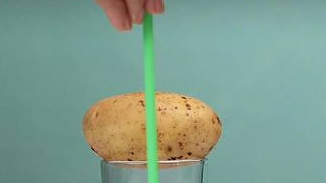 几个在家就能做的科学小实验，小实验大道理，快陪孩子一起实验下吧，让孩子爱上科学，增长物理化知识。#科