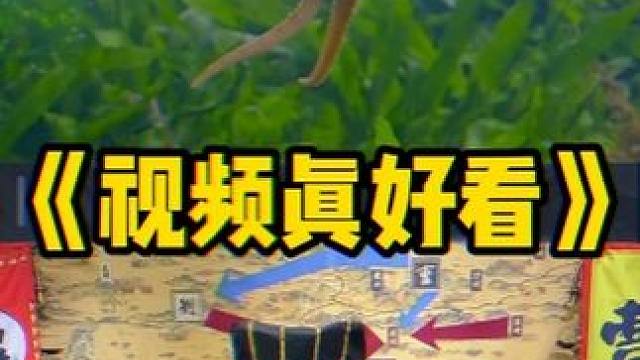 这视频真好看 #煮酒论枭雄 #曹操斗地主