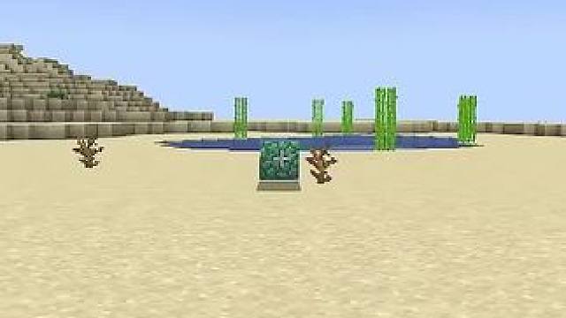 #Minecraft #我的世界