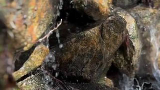 水与火#露营报告