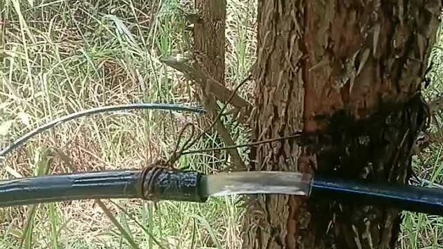 中间是透明胶管吧