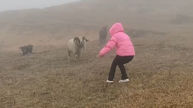 这妹子太调皮了