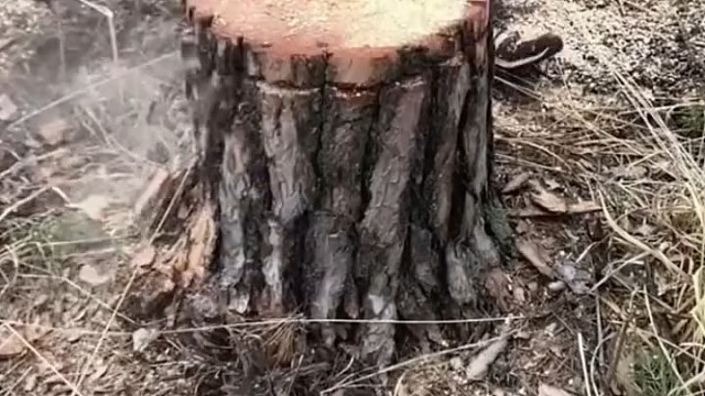 他怎么知道里面还有一个凳子