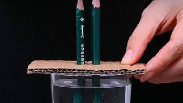 让孩子玩虚拟的手机游戏，不如陪他做数理化启蒙，在玩中学习数理化知识#科学小实验 #趣味实验 #涨知识