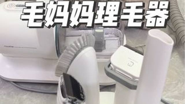 猫狗家庭和多猫家庭的可以入哦#猫毛解决方案 #毛妈妈宠物理毛器