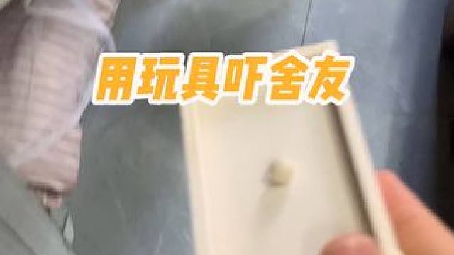 差点就被扫地出舍了…#整活