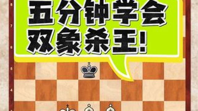 五分钟学会双象杀王！搞定思路，简单明了#国际象棋入门教学 #下棋的手法和技巧 #每天学习一点点 #国