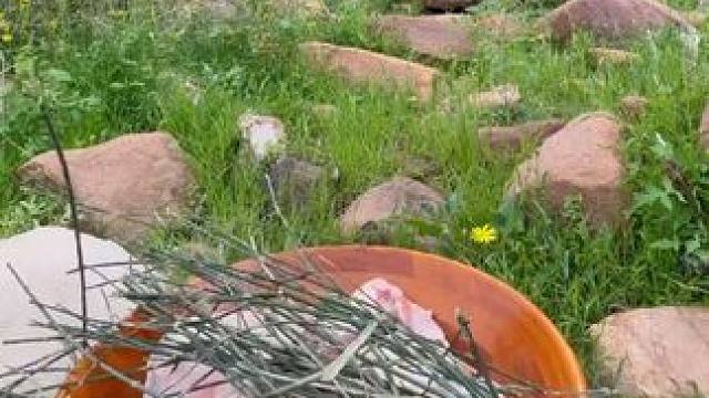 沙坑焖烤羊Part 1#露营报告 #户外美食 #露营美食报告