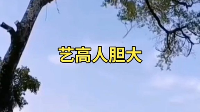 这人太历害了