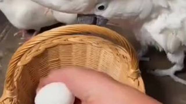 #这谁顶得住啊 #我的观影报告