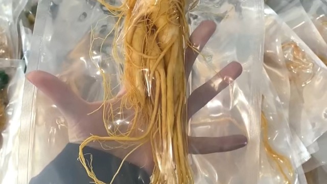 人参