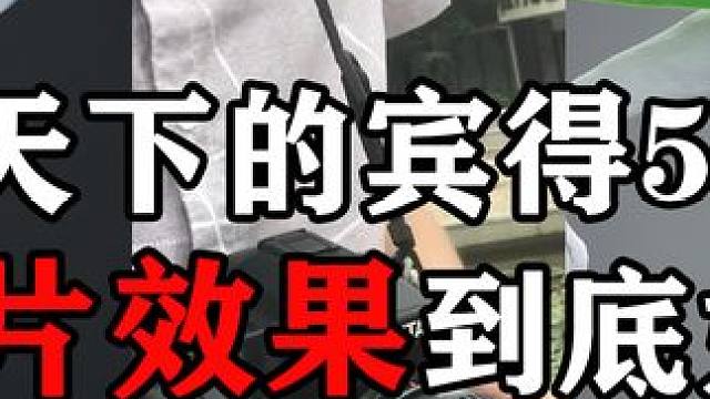 用宾得pentax k5 DAL 55-300mm 打鸟 ，阴天下的出片效果如何？  #单反 #单反