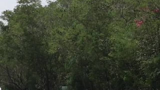 我发布了一个新视频，快来围观吧！