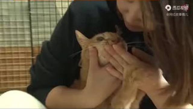 关注我每天分享不同的故事~