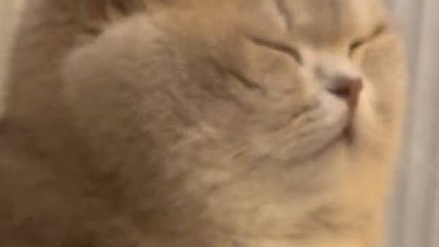 网暴的初级形态 校园霸凌也一样 在它刚刚出现的时候 扼杀在摇篮里 不要沉默 全部截屏 有一个算一个#