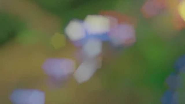 真有人玩剑姬能一秒四破嘛