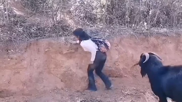 羊羊:我顶你上去，我要让你上热门[奸笑]