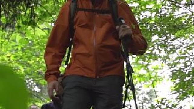 龙苍沟的麒麟徒步来不来野#我的摄影日记 #龙苍沟森林公园 #龙苍沟麒麟瀑布 #成都周边徒步 #户外徒