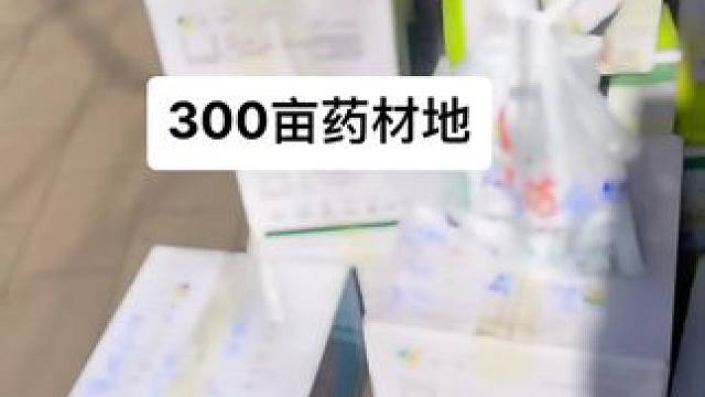 卖农药的小女孩#做生意诚信第一 #卖农药的小女孩儿 #我的农资之路