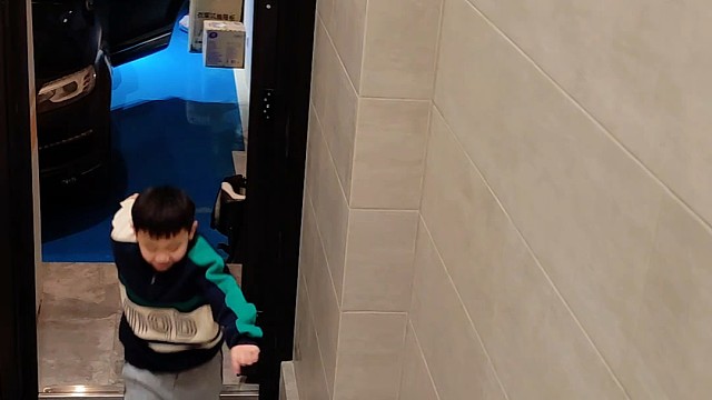 一个妈生的三个宝