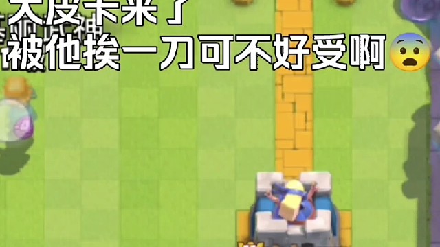 皮卡哥，不要啊…