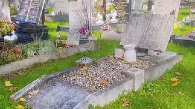 每逢佳节倍思亲