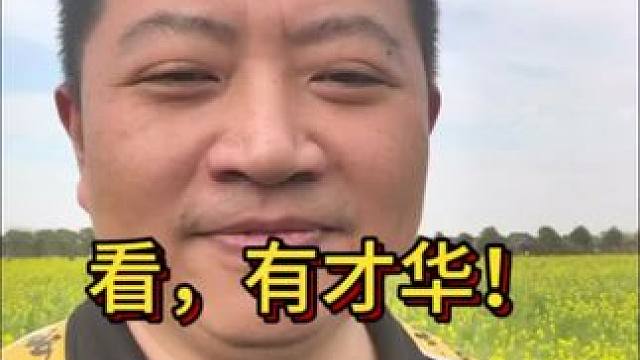 看，有才华的油菜花！#油菜花的季节 #乡野田间 #bbc #张宏圣
