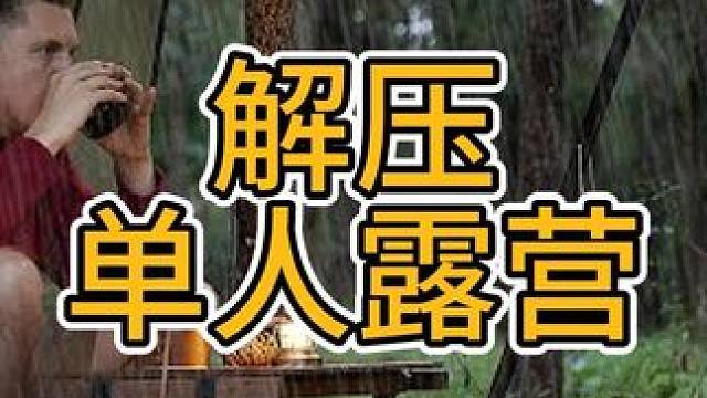 和忠犬一起雨天林中露营过夜 #单人露营  #户外露营  #解压  #助眠 