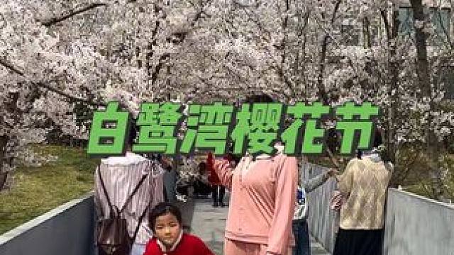 大葱煎饼大酱，这才是野餐的标配啦#一起去野餐吧 #踏青出游 #带上美食去春游 #户外露营 #白鹭湾樱