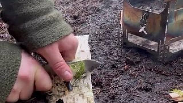 露营生火#露营报告 #野营 #户外