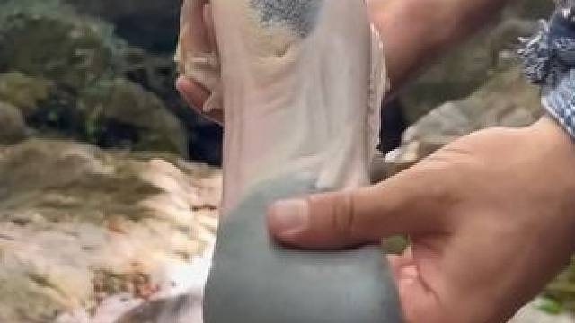 户外烹饪牛舌#户外美食制作 #户外美食 #野炊