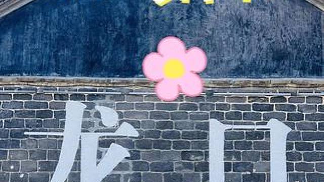 这个清明节，如果有时间，抽出半天时间去西河阳春饼节转转吧～这里能治愈你的心情～#龙口 #清明踏青正当