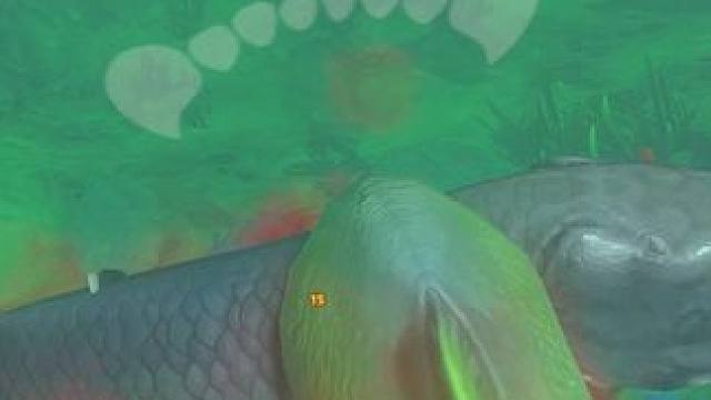 我发布了一个新视频，快来围观吧！