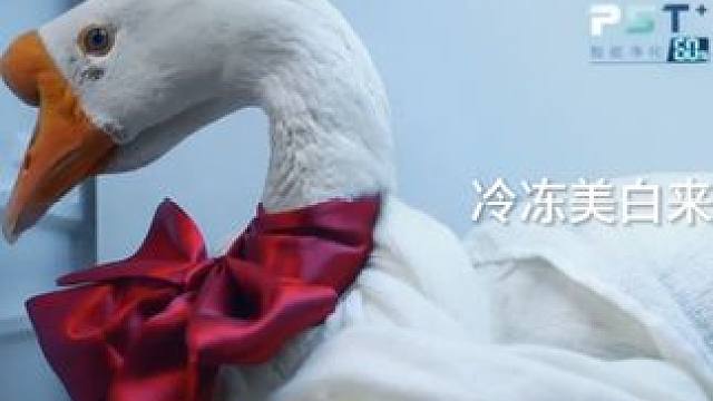 时间差不多了哦#美的冰箱#超一级健康全食材洁净 #春日给家变个装