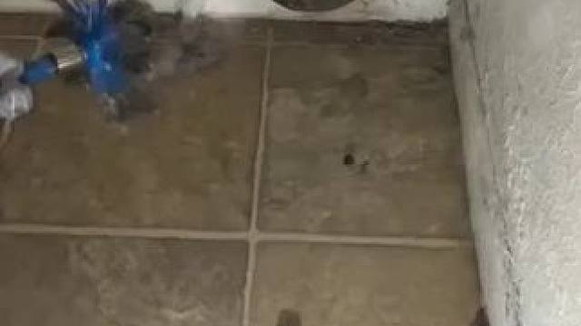 我发布了一个新视频，快来围观吧！