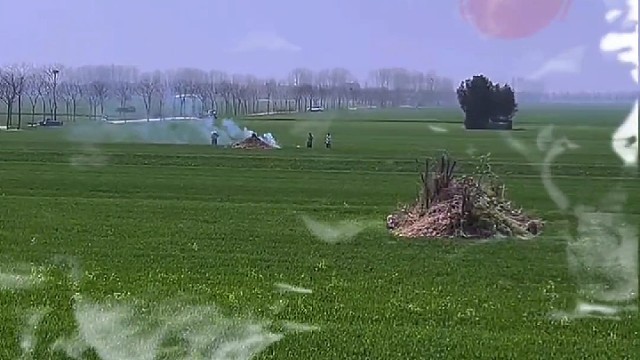 放下执念，让我们心灵重获自由