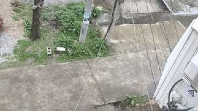 不好！有人在偷拍我！#老鼠#农村生活