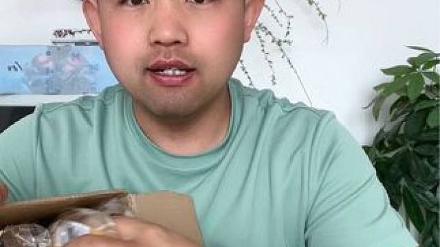 #揭秘 #试吃 #面包 #肉松面包