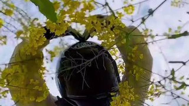 女孩子一定要有一辆自己的车 四轮也好 小摩托也好 因为它可以带你想去的地方看美丽的风景 #油菜花 #