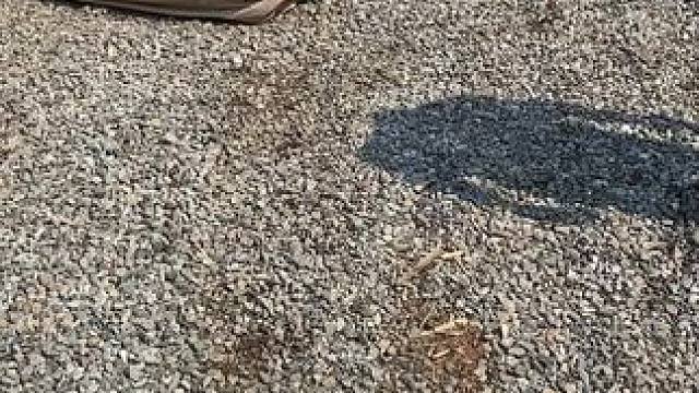 新来营地的小伙伴儿，一套新装备开箱。睡一晚上气垫腰疼，换上了我的行军床。#气垫床 #行军床 #罗迪的