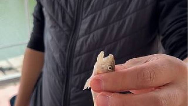 4️⃣️5️⃣ ☀️
#春日好食光 #一起吃一起喝一起玩一起嗨 #露营美食 #分享生活 #露营