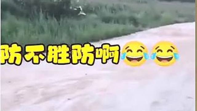 #看一遍笑一遍 #万万没想到 #每日一笑 #这谁顶得住啊