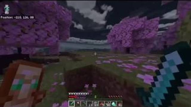 #Minecraft #我的世界