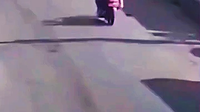 看到猫没事，我放心了