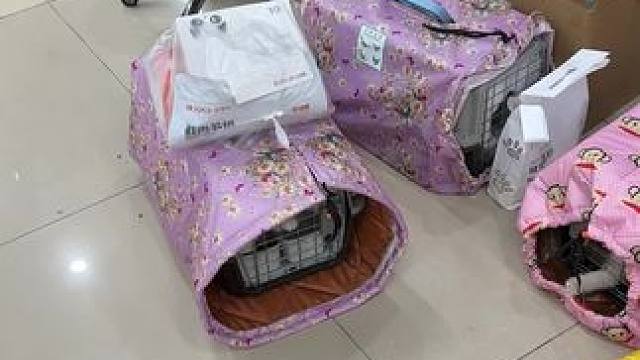 我发布了一个新视频，快来围观吧！