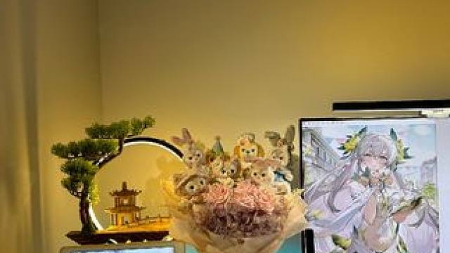 距离结束长草还有13天，含英老婆就来了#战双帕弥什 #游戏风向标