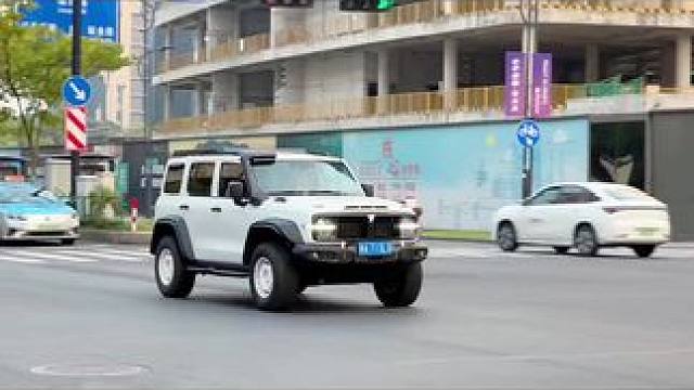 坦克300，越野性能和颜值于一体，#硬派越野 #坦克300越野 #坦克330