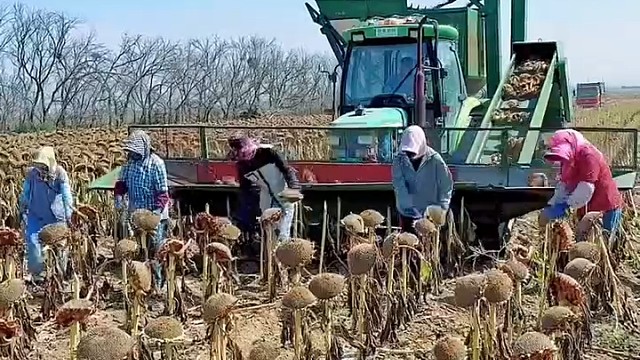 啊姨门真牛太棒了