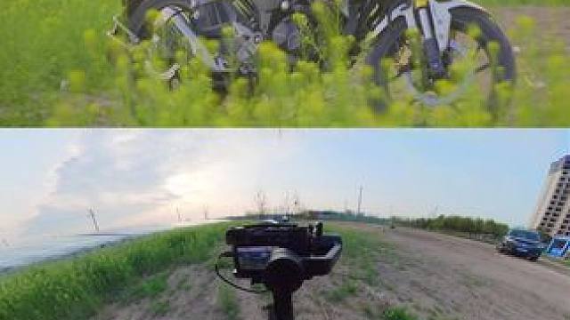 路边的油菜花开了#摩托车 #机车 #第一视角 #本田190 #影石insta360